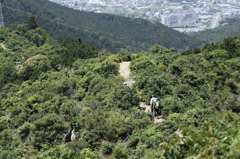 里山歩き