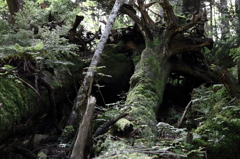 還る