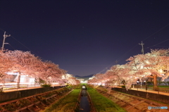 街と桜