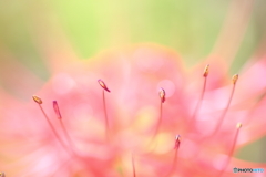 親しみを