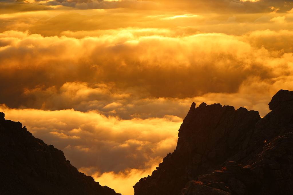 ゴールデンタイム