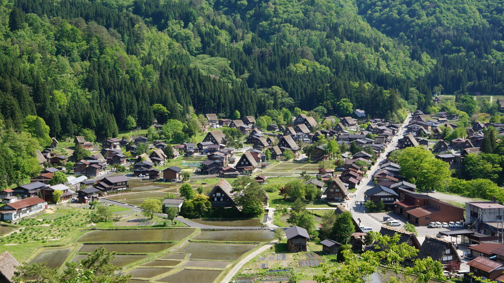 白川郷 合掌造り⑨ 全景