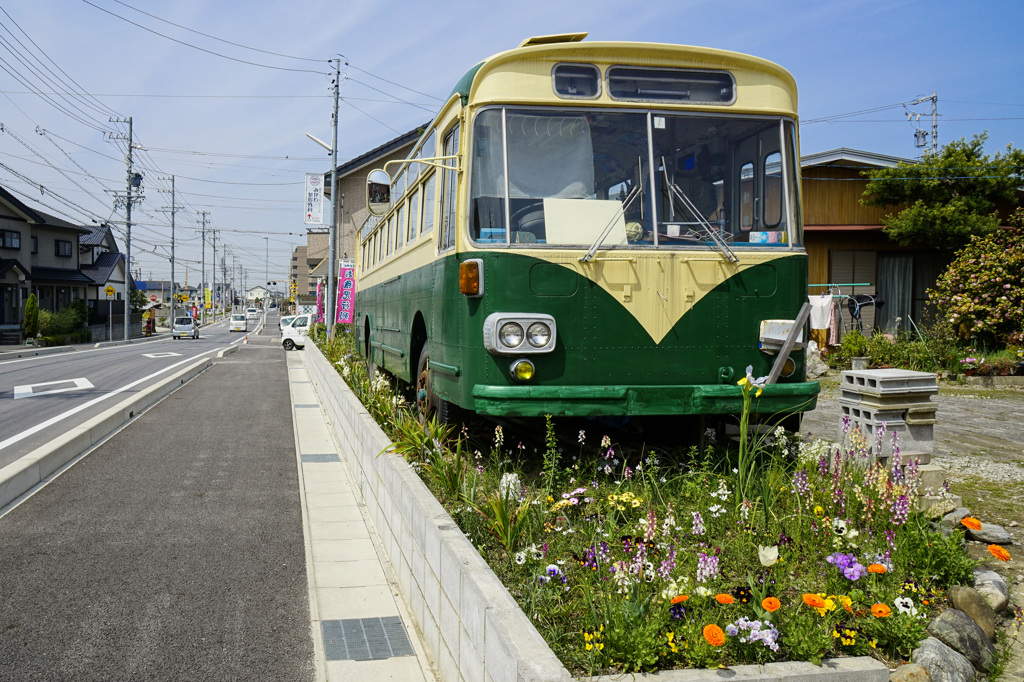 道端のバス