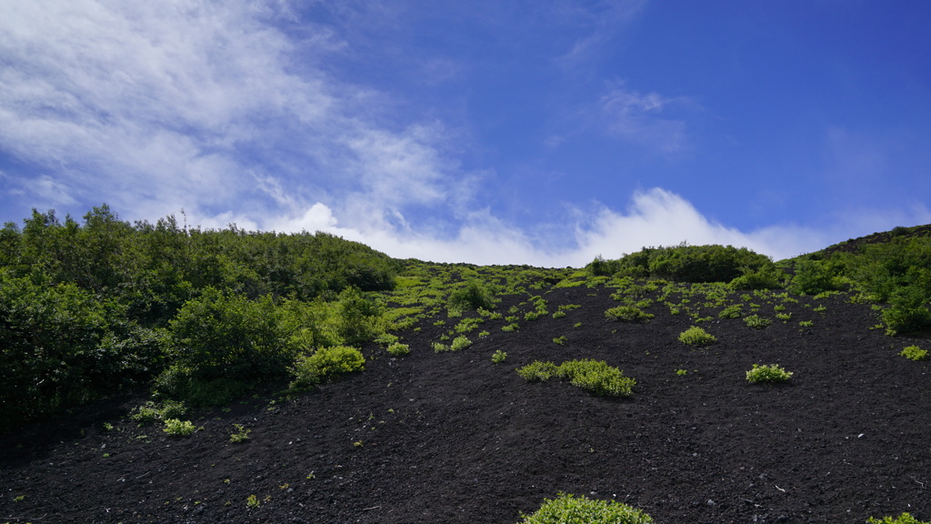 富士山　5合目②