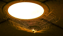 Spider's Lamp Shade.ver4