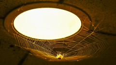 Spider's Lamp Shade.ver1