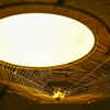 Spider's Lamp Shade.ver1
