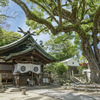 艮神社とクスノキ