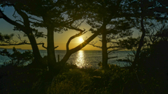 日間賀島　日の出