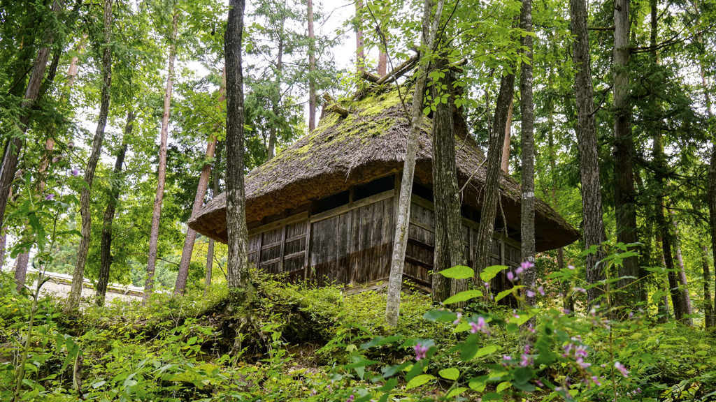 山里の小屋