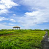 白鳥崎　西海岸公園