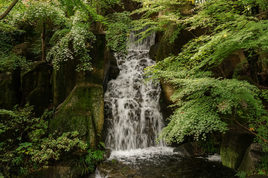 徳川園の滝