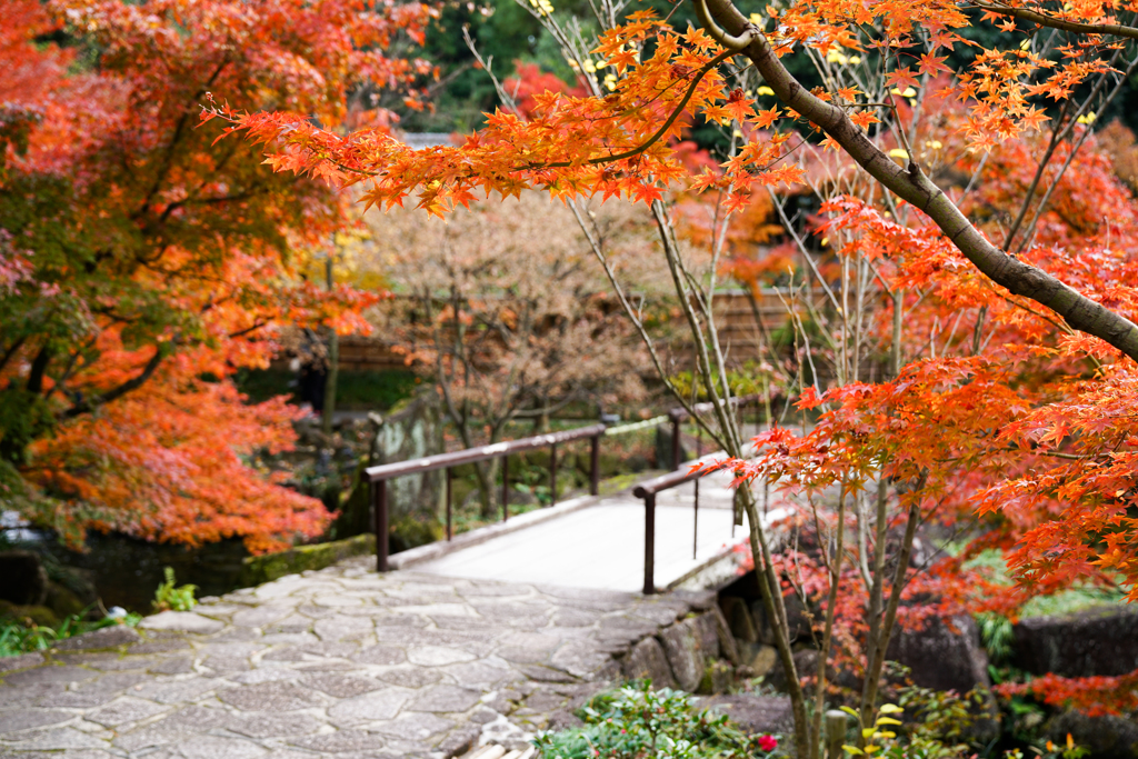 紅葉小橋