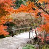 紅葉小橋