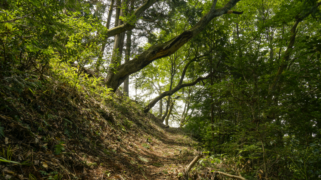 山道