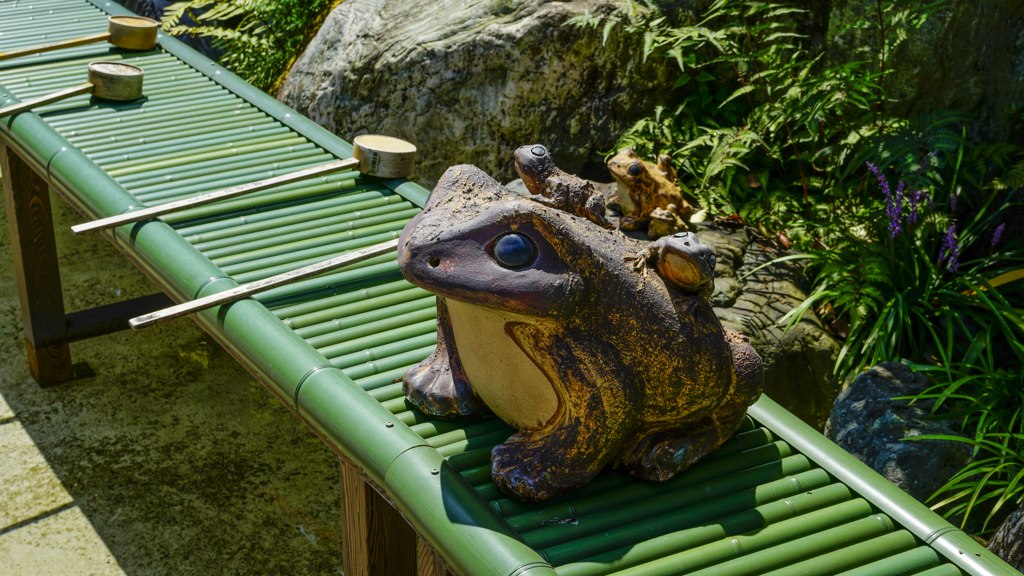  針綱神社 のカエル