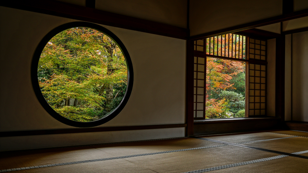 “悟り”と“迷い”、その繰り返しが人生です。