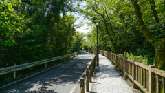 城への道
