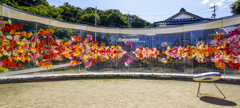 Wall「flowers」①