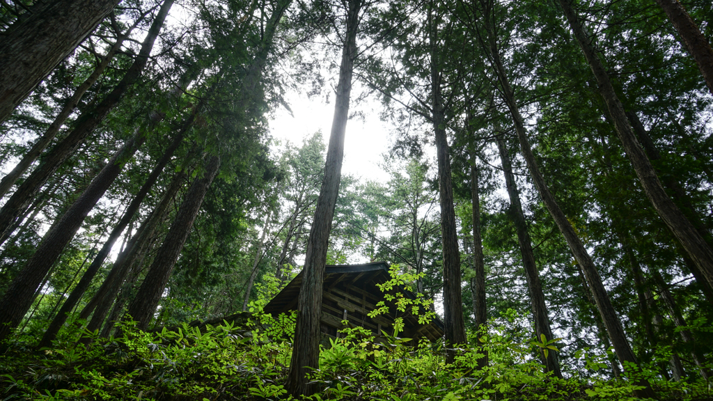 降り注ぐ光の中の小屋