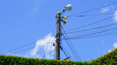 夏空