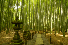 報国寺の竹林