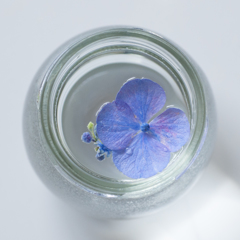 最後にもうひと花