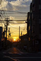 雑駁な朝