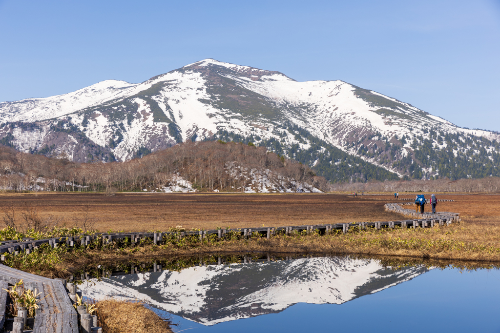 今回のベストショット2