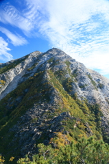 IMG_2530