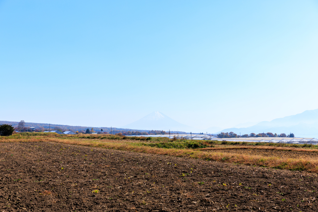 よーく見ると、、、、、