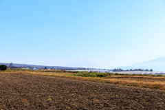 よーく見ると、、、、、