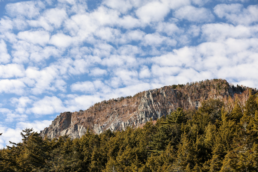 みどり池より　vol.3