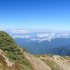 IMG_2650