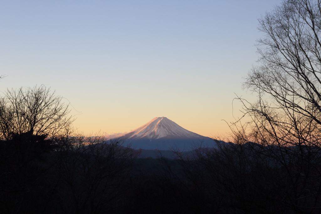 富士見平からのご来光富士