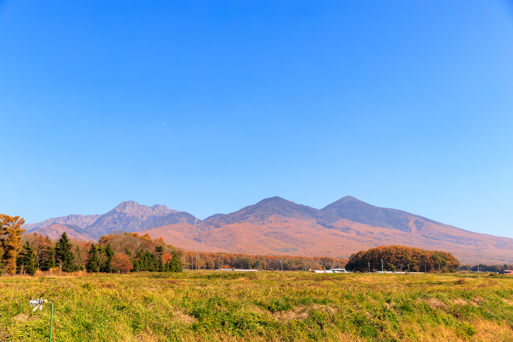 八ヶ岳　全山紅葉