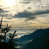 IMG_2471