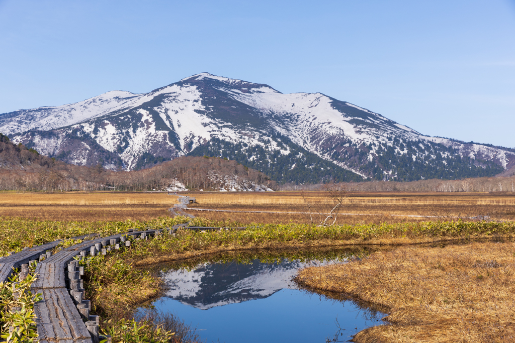 今回のベストショット