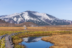 今回のベストショット