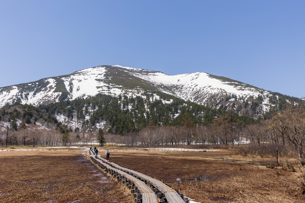 至仏山に至る道