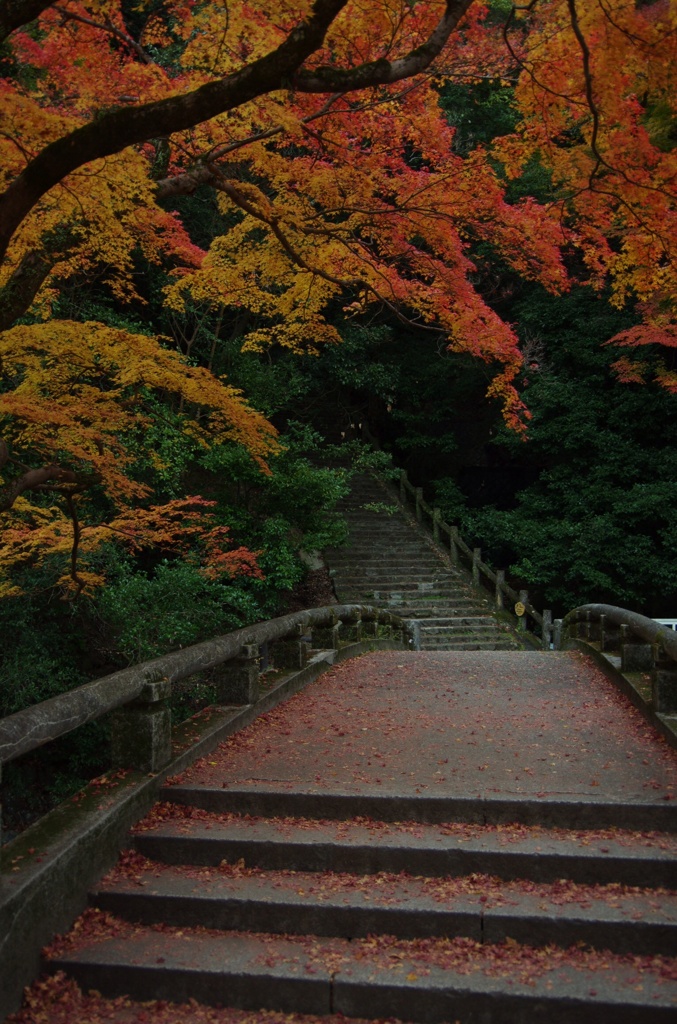 箕面 1