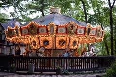 Merry-go-round in the forest