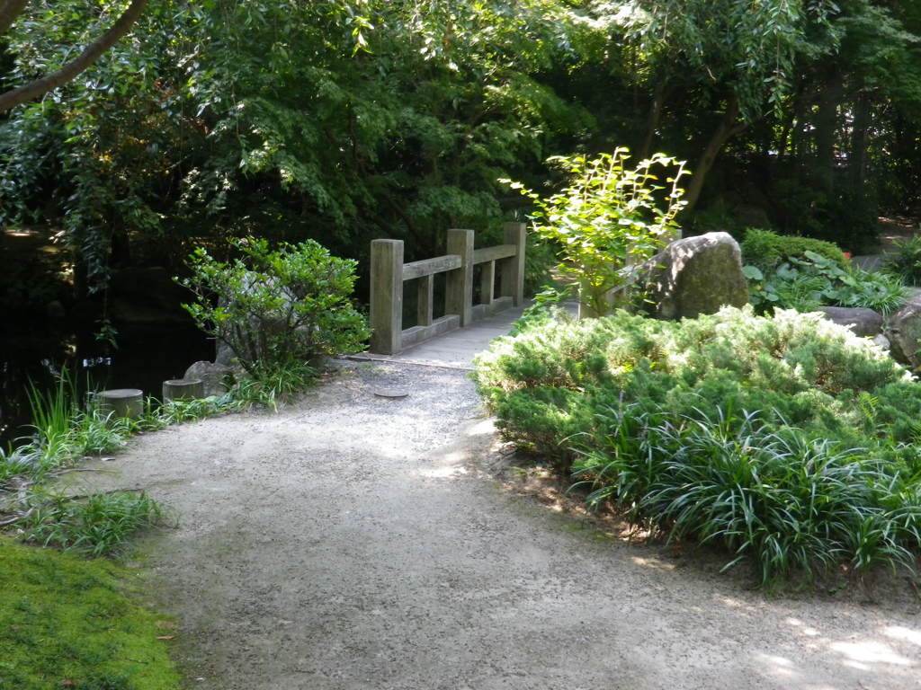 IMGP0292