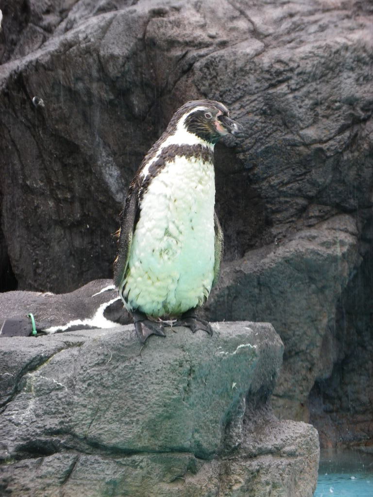 IMGP0530