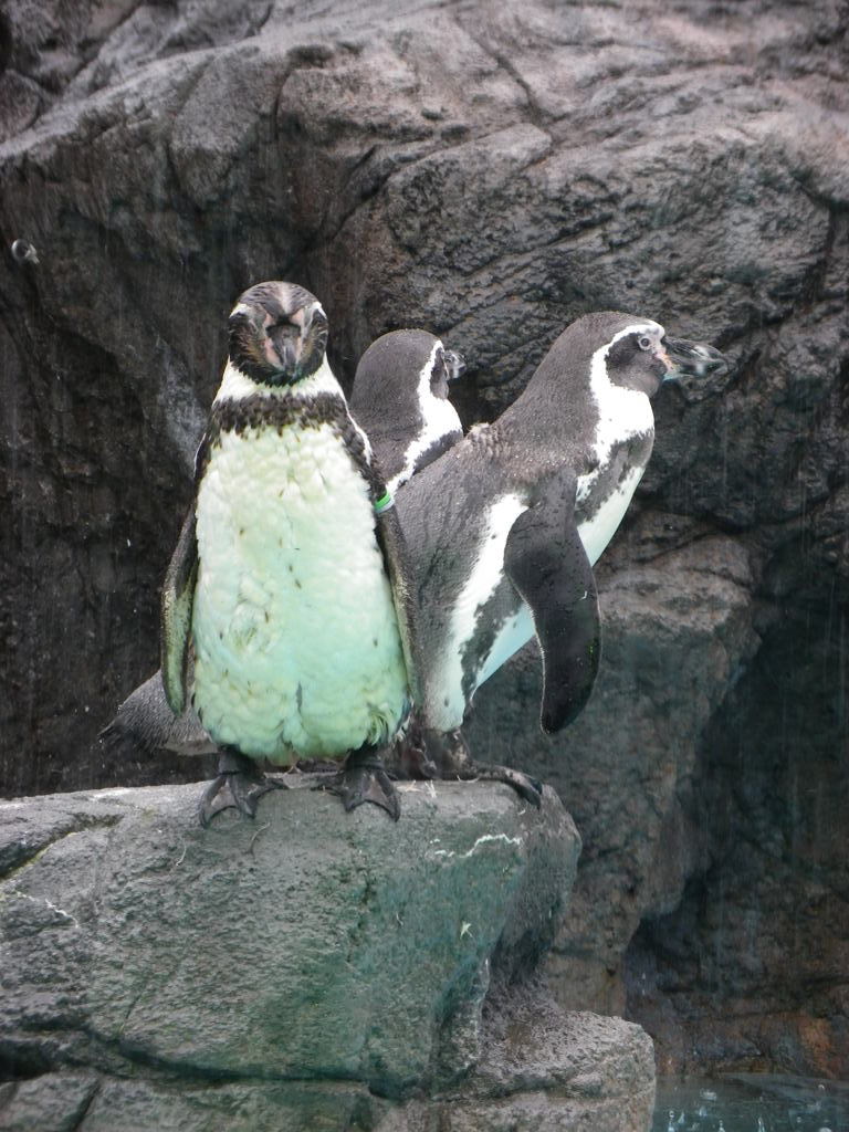 IMGP0534