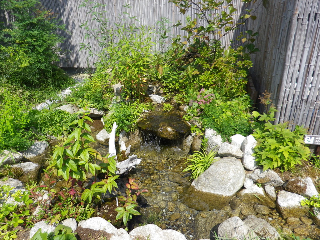 IMGP0277