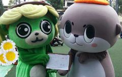 28536922_2112285887_148large