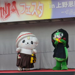 IMGP1099