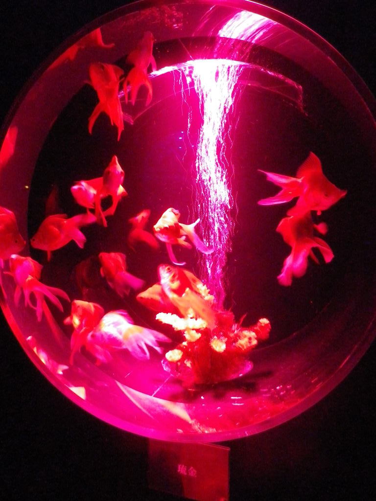 IMGP0428