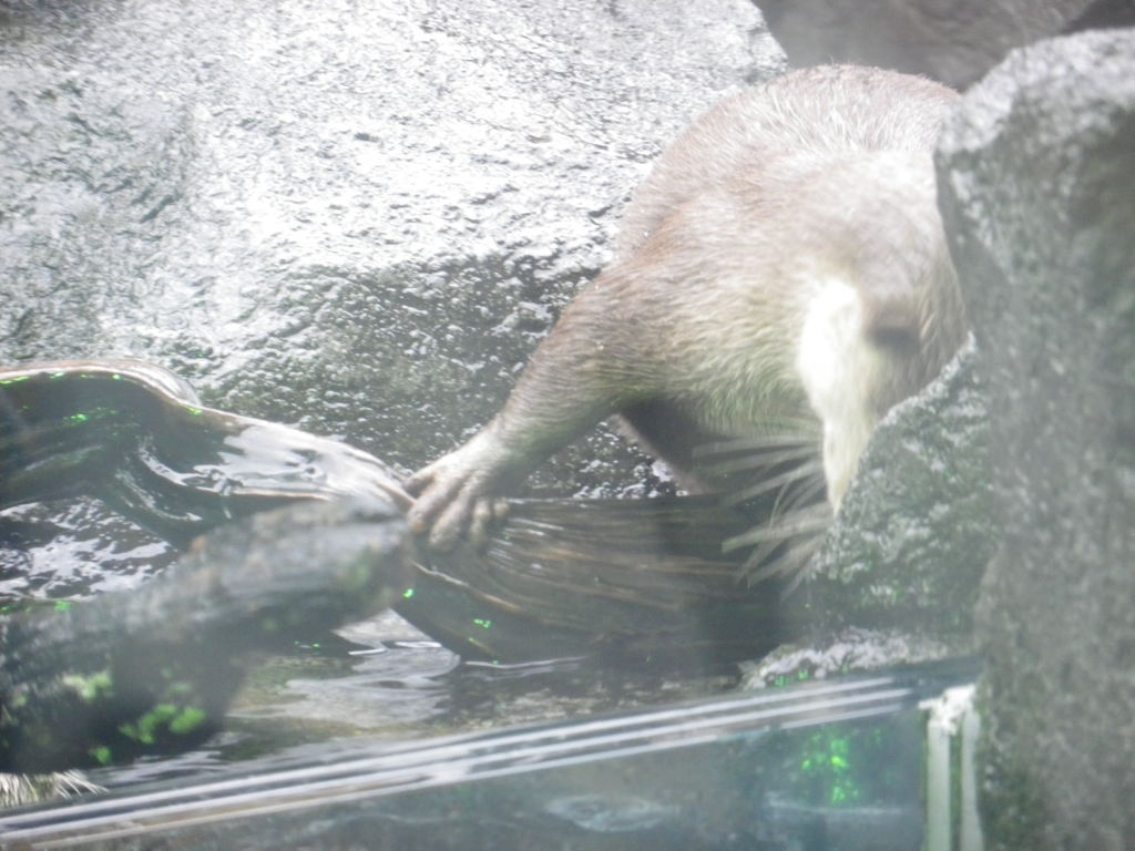 IMGP0572